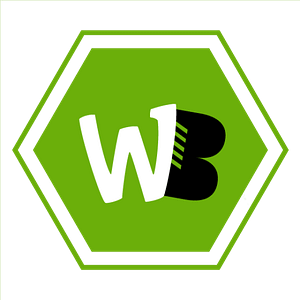 Picture of Website Buddy